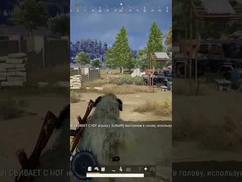 Featured Content