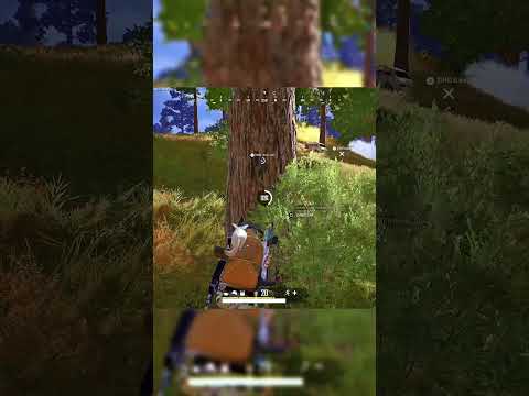 Featured Content